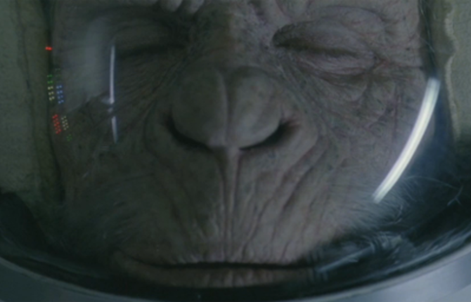 WWF – Space Monkey