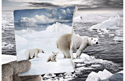 Do not let nature become a memory