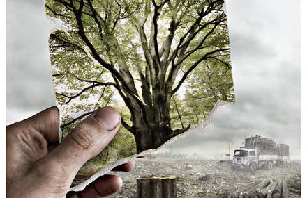 Do not let nature become a memory