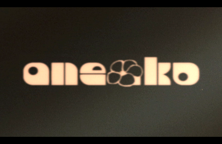 Aneako
