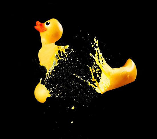 ducky