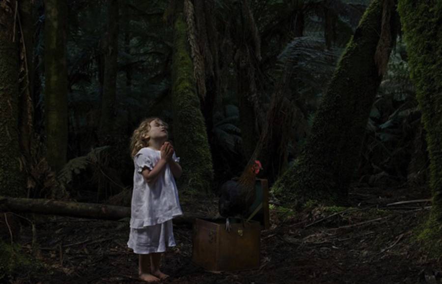 Wander and Wonder