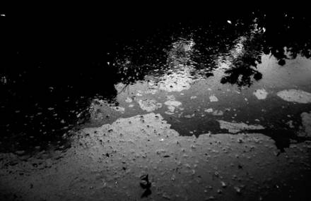 Luke Ighile “Réflexions”