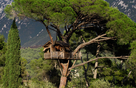 La Cabane Perchée