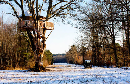 La Cabane Perchée