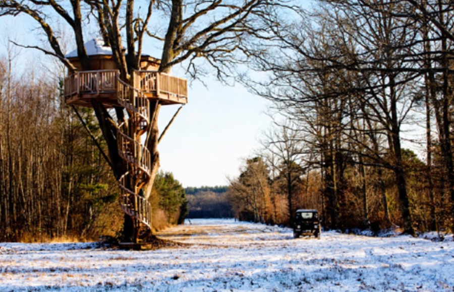 La Cabane Perchée