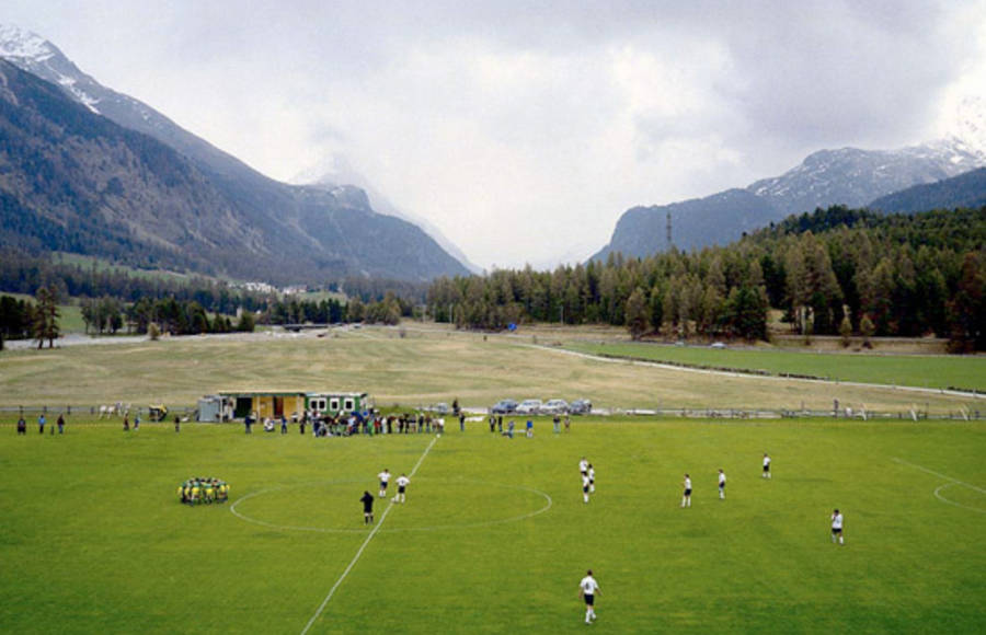 European Fields