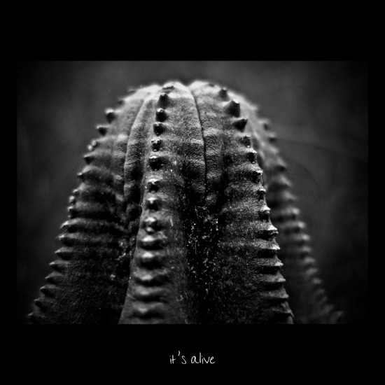 it__s_alive____by_baspunk