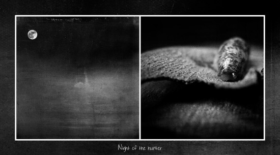 night-of-the-hunter