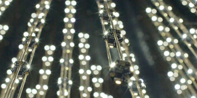 swarm-light_2