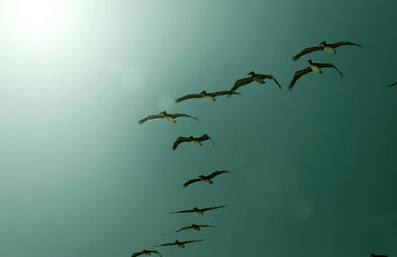 Thomas Ciszewski Photography