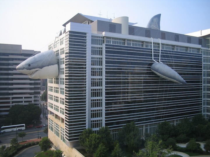 discovery-channel-shark-building1