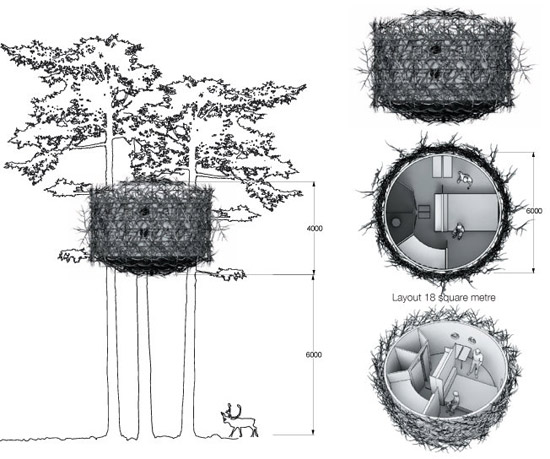 tree08