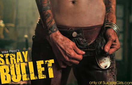 Mike Pecci’s Stray Bullet
