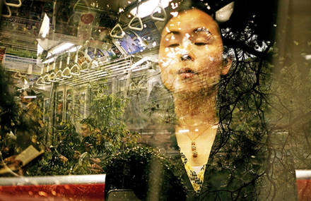 Transparence from Tokyo