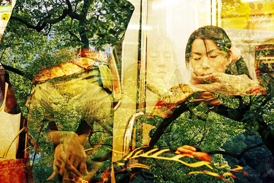 femmes-darbres-transparence-from-tokyo-c2a9-fabien-lemaire femmes-darbres-transparence-from-tokyo-c2a9-fabien-lemaire