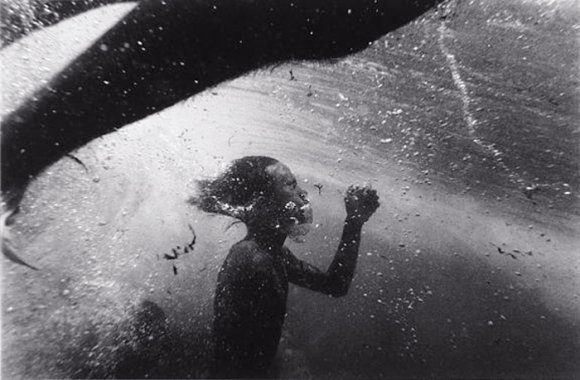Underwater Photography by Wayne Levin – Fubiz Media