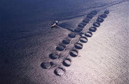 Aerial Photography Part II