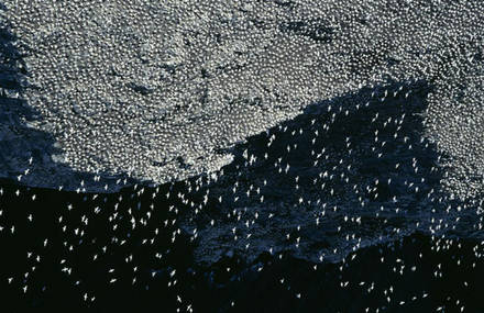 Aerial Photography Part II