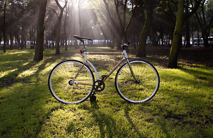 Bamboo Cycles