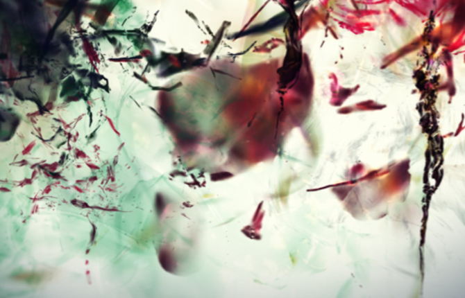 Chiral Projection Artwork
