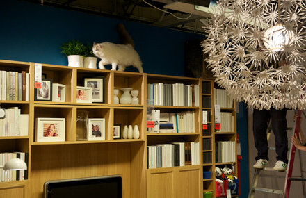 IKEA – Herding Cats