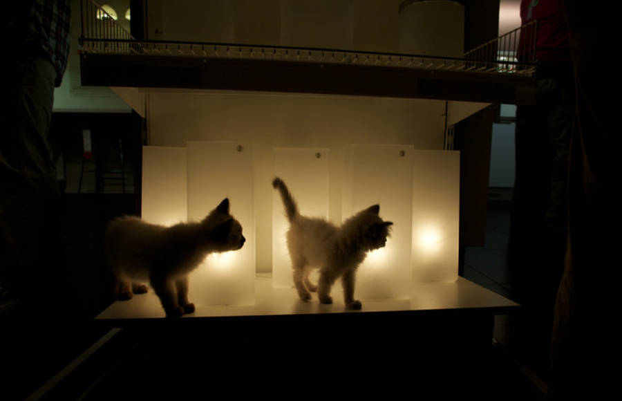 IKEA – Herding Cats