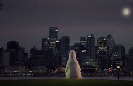 Nissan Leaf – Polar Bear