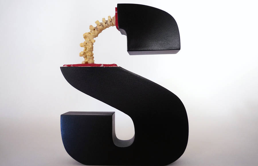 Evolution of Type