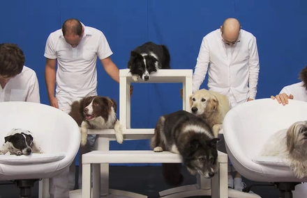 OK Go – White Knuckles