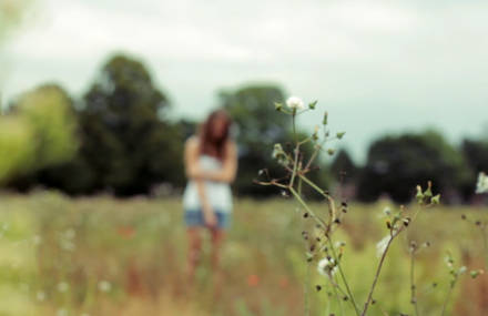 Dreamer