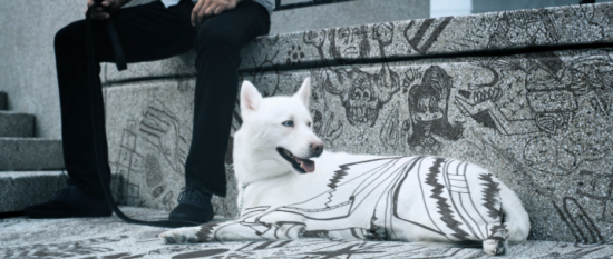 chien chien