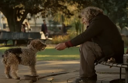 Lotto – Lucky Dog