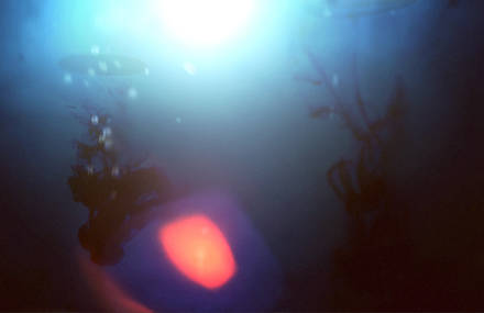 Motion Painting