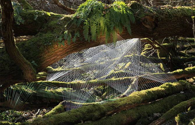 Thread Installations