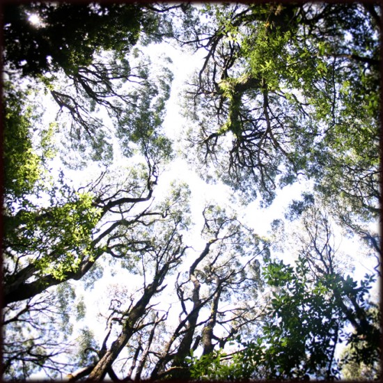 test30 test30