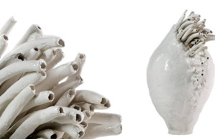 Ardidesign Live Ceramic