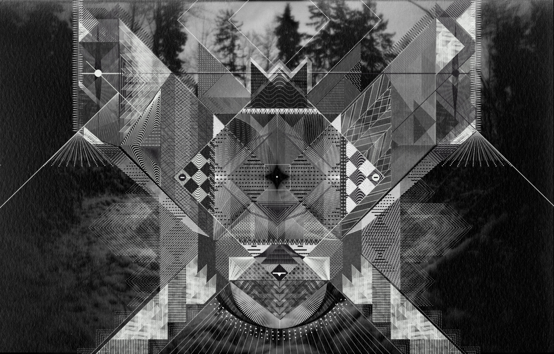 forest1