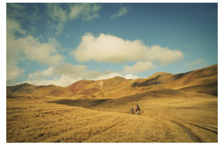 Landescape