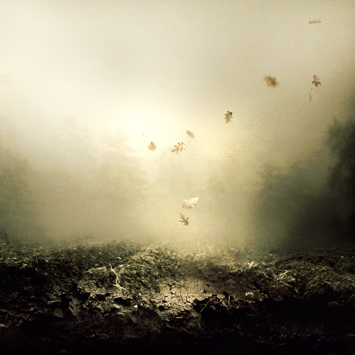 and-i-keep-falling