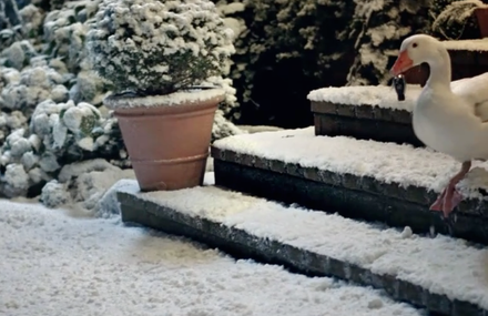Mercedes-Benz : Christmas Film
