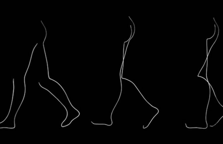 Puma Body Train