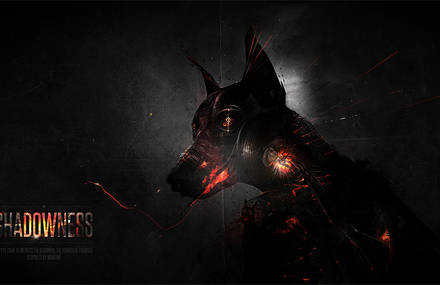 Shadowness