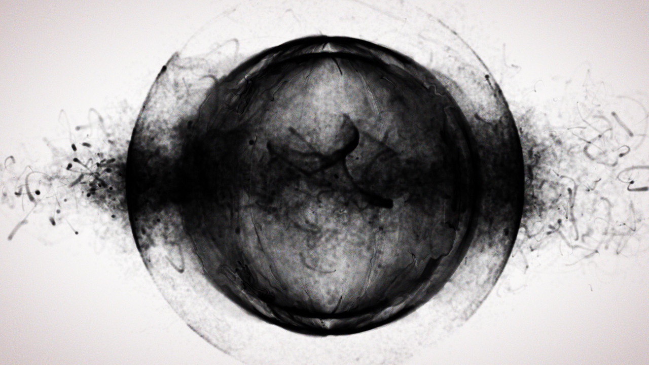 blueberry_still_04