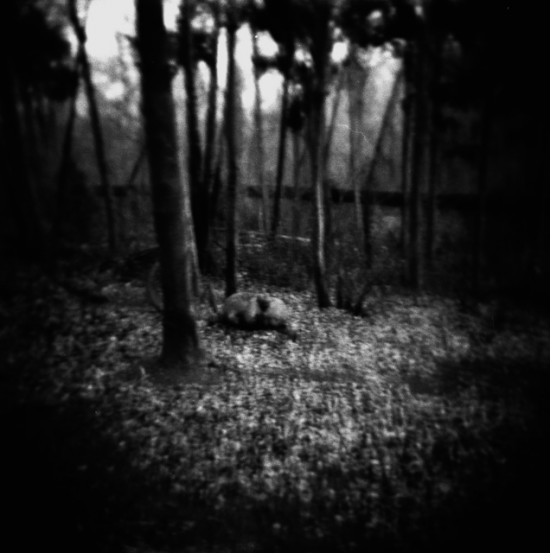 holga003 holga003