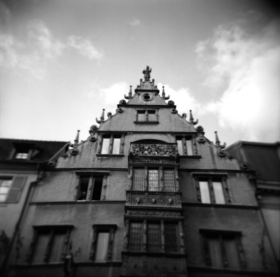 holga006 holga006