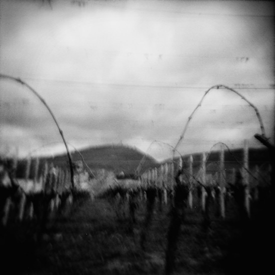 holga007 holga007