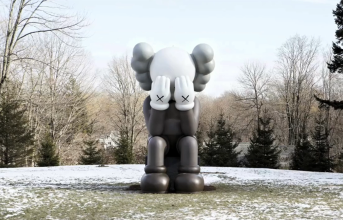 Kaws Companion