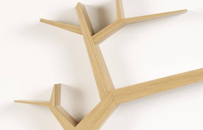 Branch Bookshelf