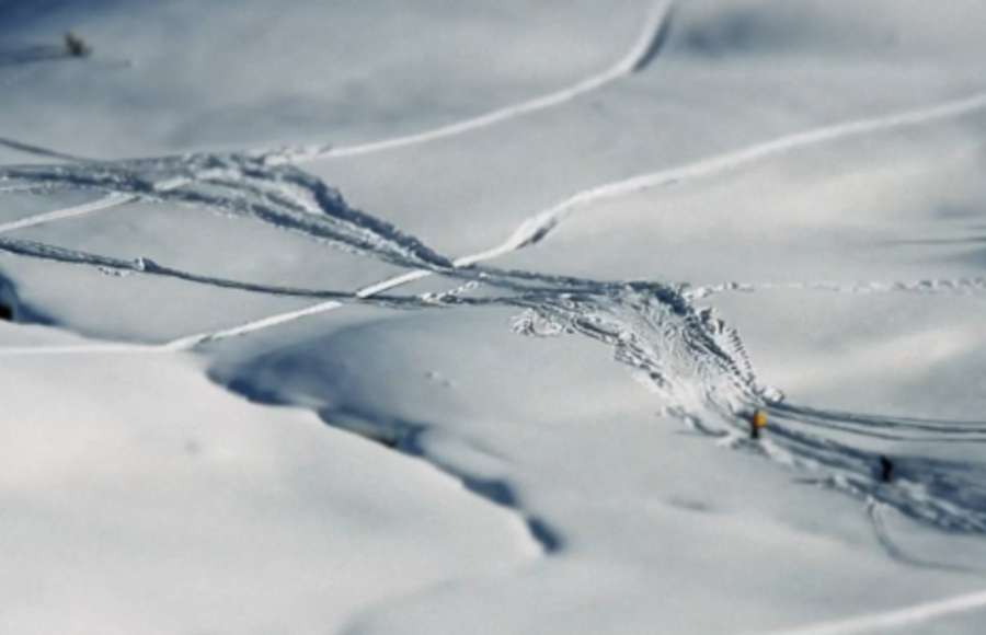 Whistler Blackcomb XXS